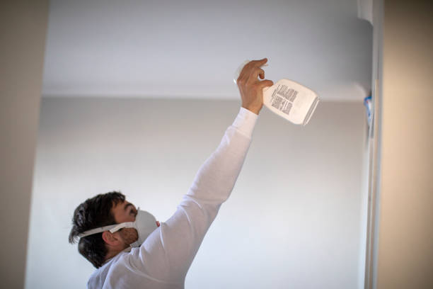 Best Residential Mold Removal  in Gilbert, IA