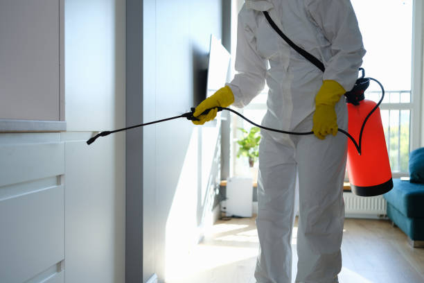 Best Attic Mold Removal  in Gilbert, IA