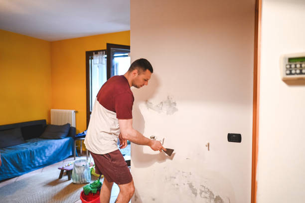 Best Black Mold Removal  in Gilbert, IA